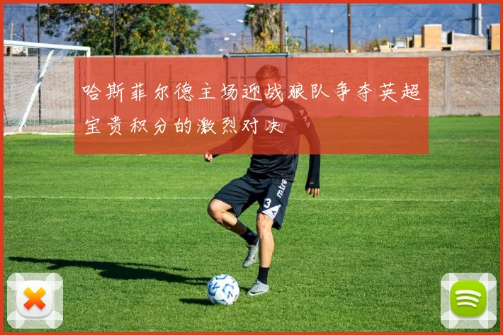 哈斯菲尔德主场迎战狼队争夺英超宝贵积分的激烈对决