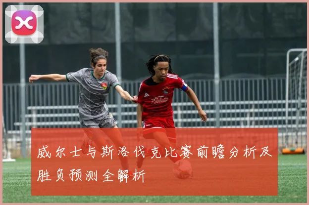 威尔士与斯洛伐克比赛前瞻分析及胜负预测全解析