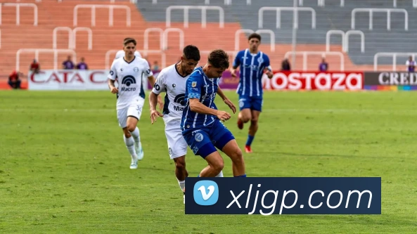 三亿体育平台生态图