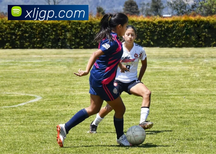 三亿体育APP 封面图